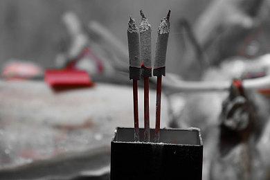 《侏罗纪公园：生存》首批实机内容截图展示